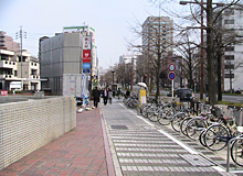 桜通りに沿った歩道